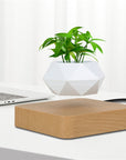 Magnetic Plant Pot