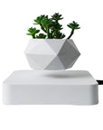 Magnetic Plant Pot