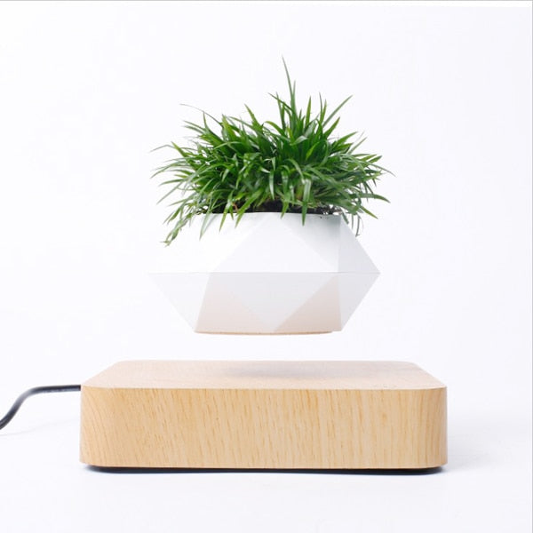 Magnetic Plant Pot