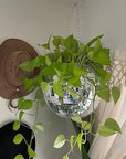 Self Watering Disco Ball Hanging Planter