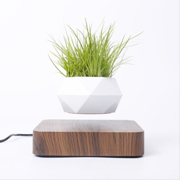 Magnetic Plant Pot