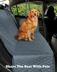 Dog Backseat Cover