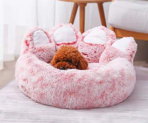 Cute Pet Bear Bed