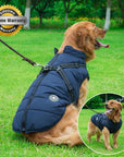 Winter Dog Jacket